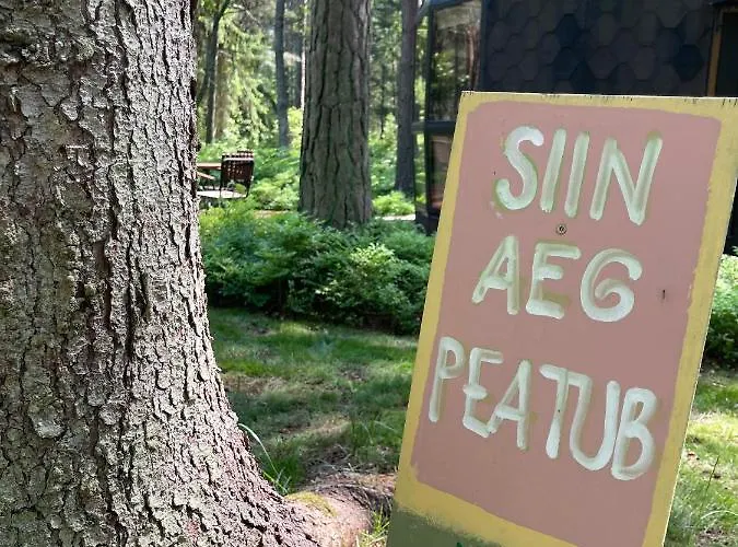 Mugavustega Majake Mereaeaerses Maennikus. Holiday home Lohusalu